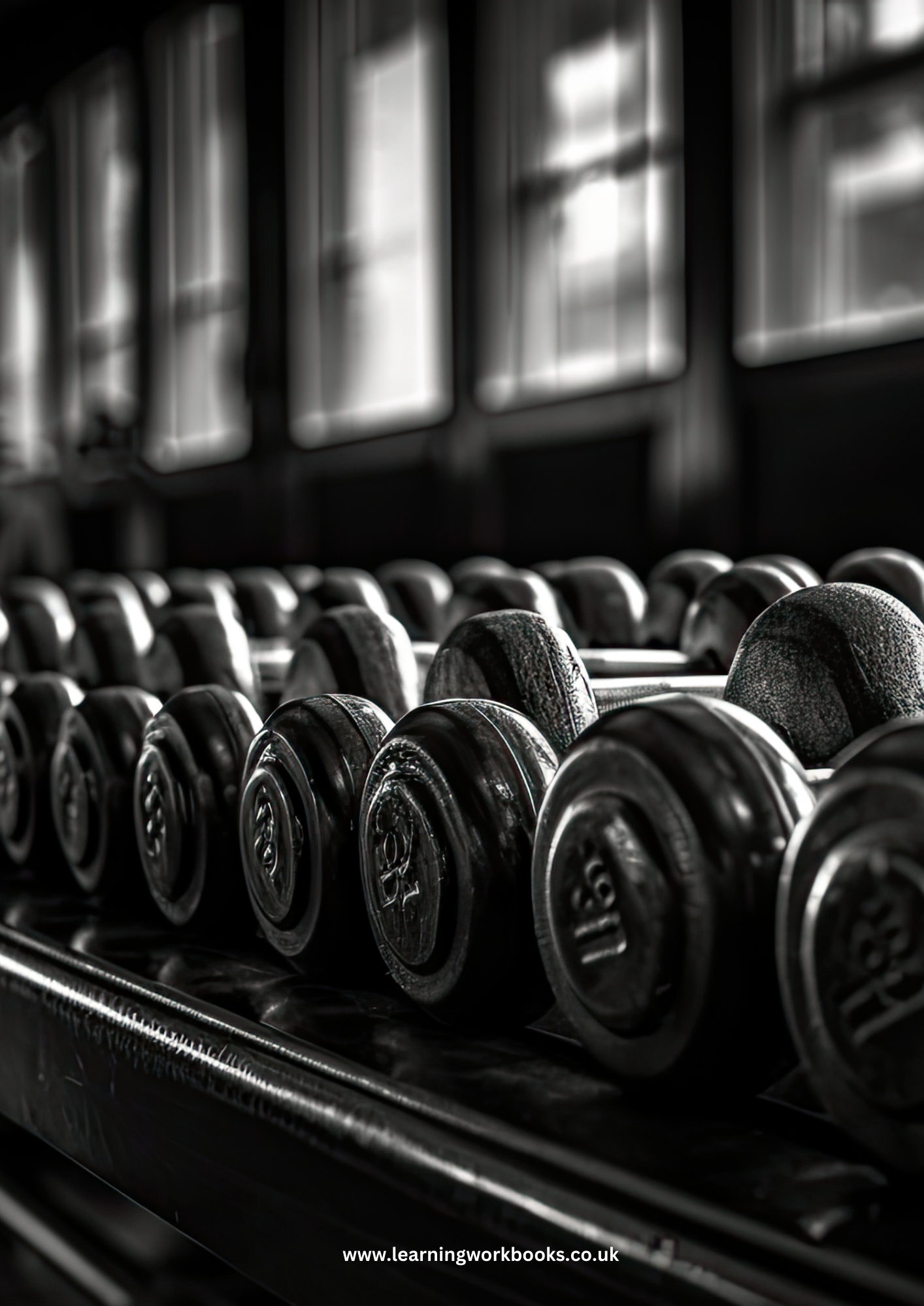 Fitness and Workout Logbook 6 (downloadable digital product)