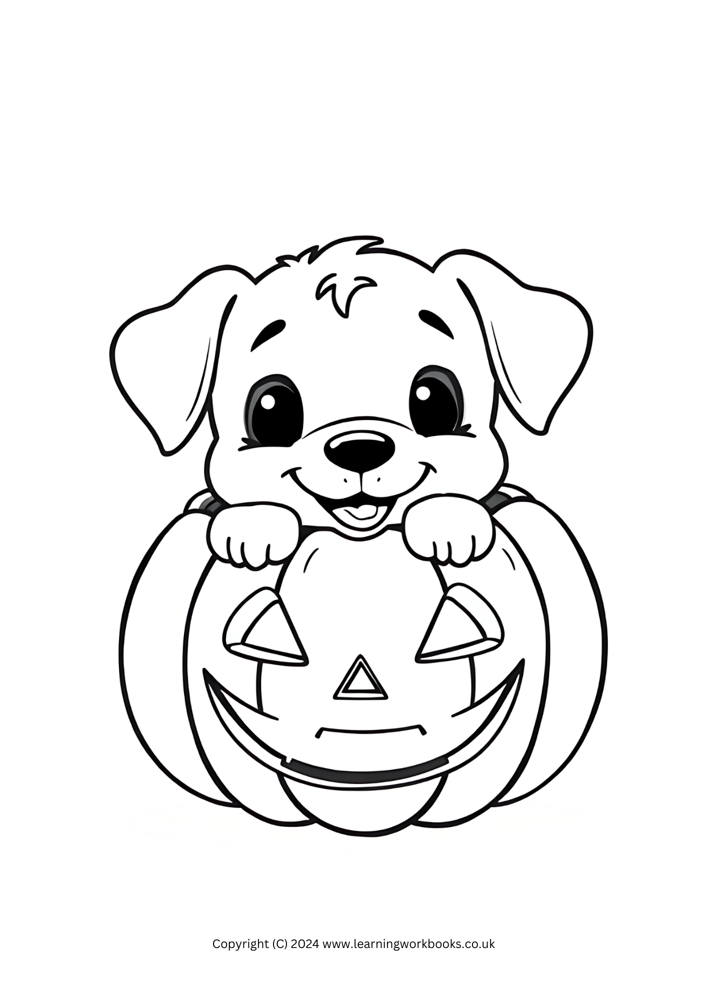 Pumpkin Pets Halloween Colouring Book