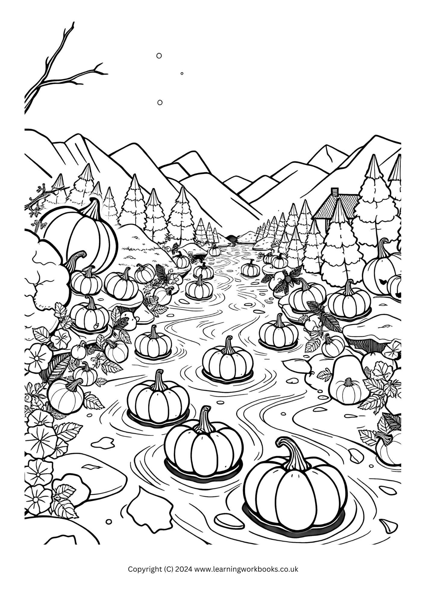 Pumpkin Spice Wonderland Halloween Colouring Book