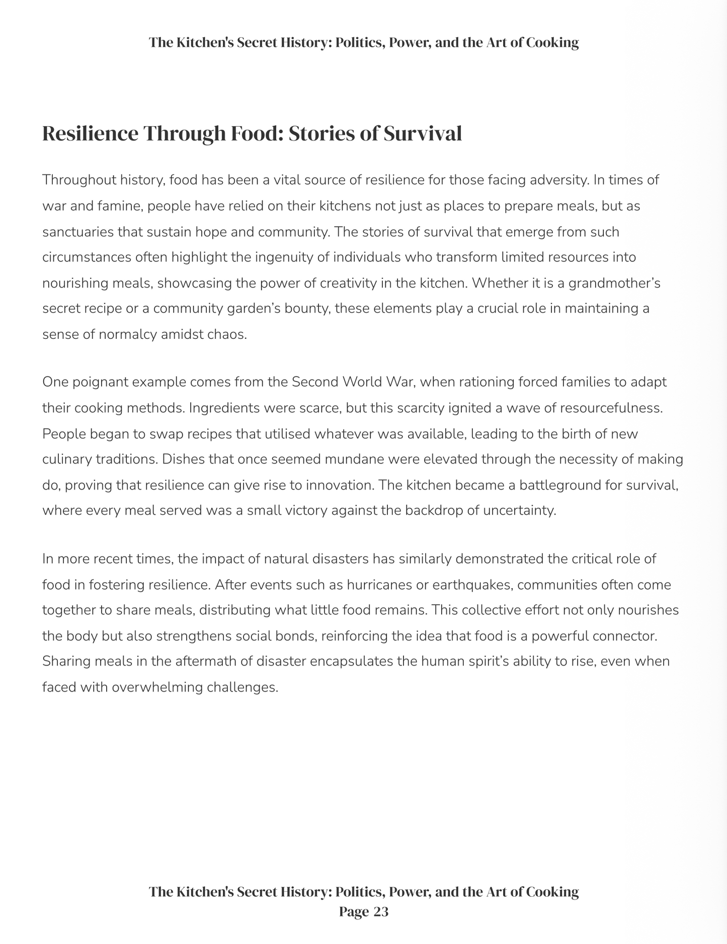 Real Hidden Histories of the Everyday Kitchen: Where People, Politics and Invention Collide (downloadable digital product)