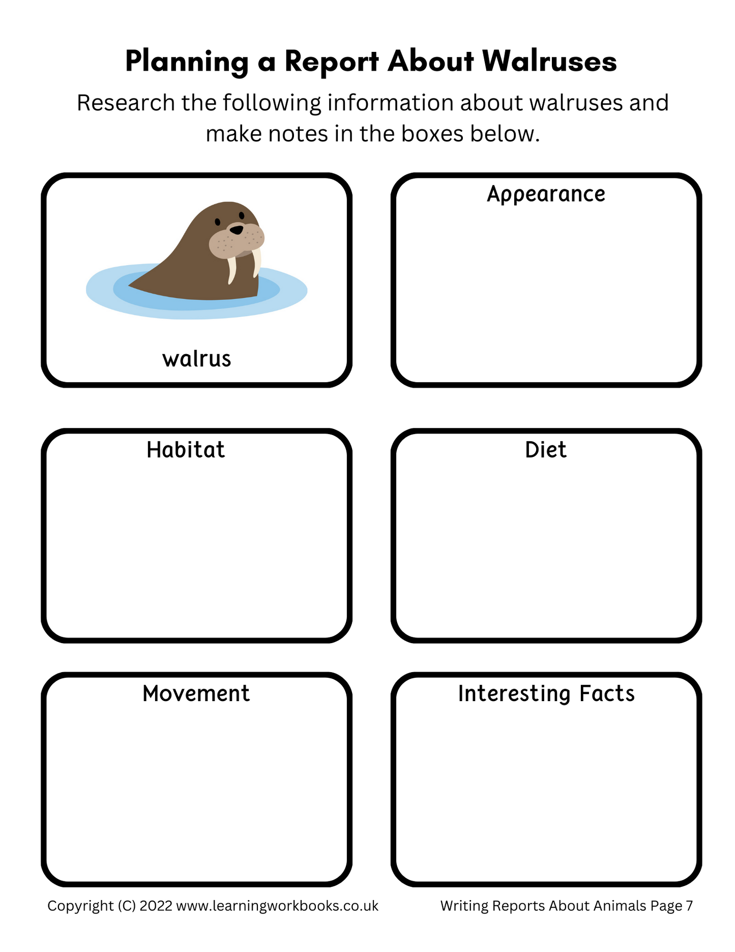 Writing Reports About Animals Workbook 2